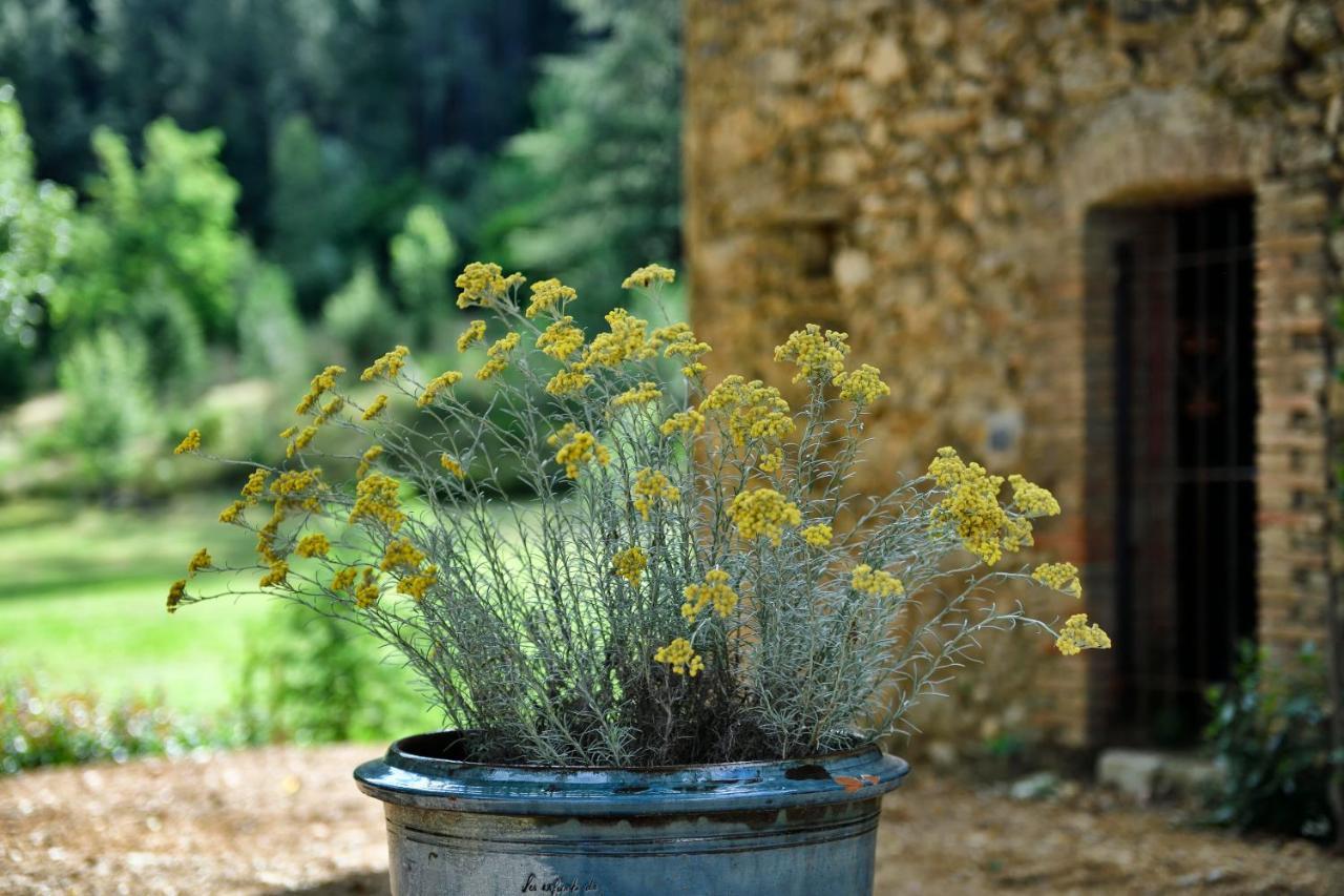 Les Jardins De Falguiere Сен-Жан-дю-Гар Экстерьер фото