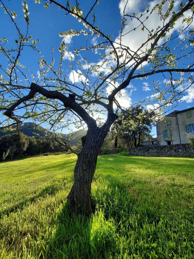 Les Jardins De Falguiere Сен-Жан-дю-Гар Экстерьер фото