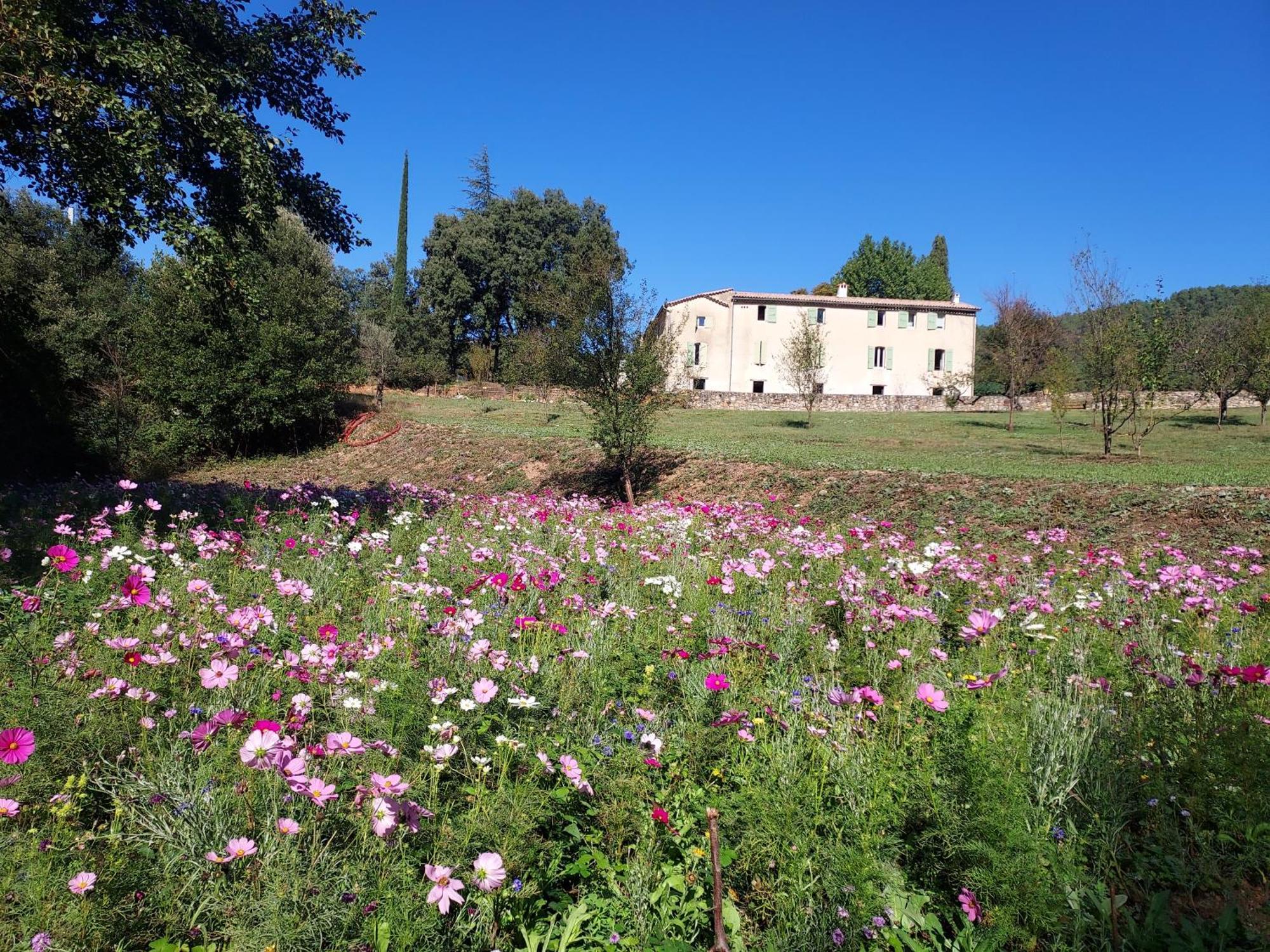 Les Jardins De Falguiere Сен-Жан-дю-Гар Экстерьер фото